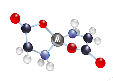 a magnesium chelate molecule