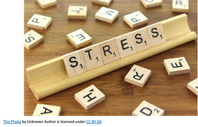 Is Exercise Stress Reducing or Stressful?